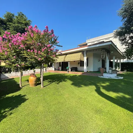 Vitti's Guest house
