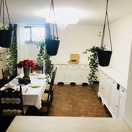 Vitti's
