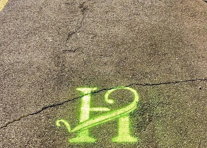 بيت ضيافة Vitti's فيرونا